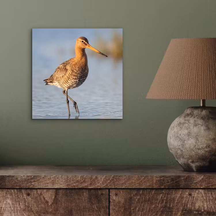 Vogel - Steltloper - Water - Natuur aluminium wit klein -sfeer2