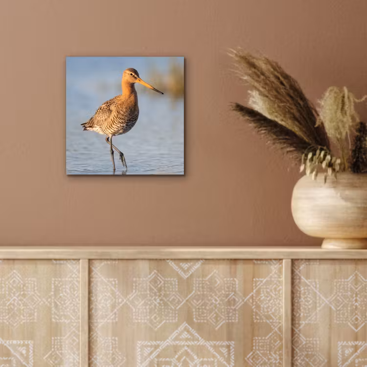 Vogel - Steltloper - Water - Natuur aluminium wit klein -sfeer4