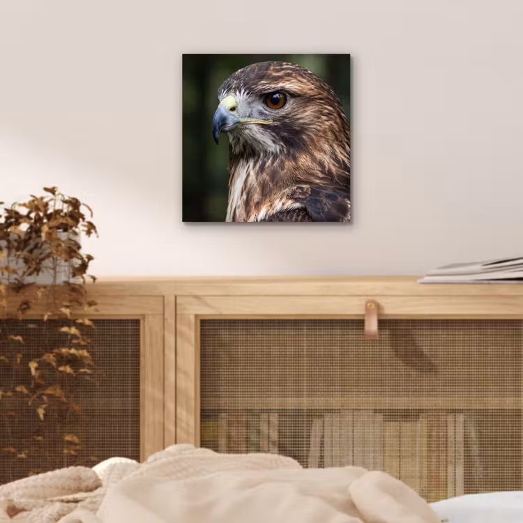 Buizerd - Roofvogel - Natuur - Bruin aluminium wit klein -sfeer3