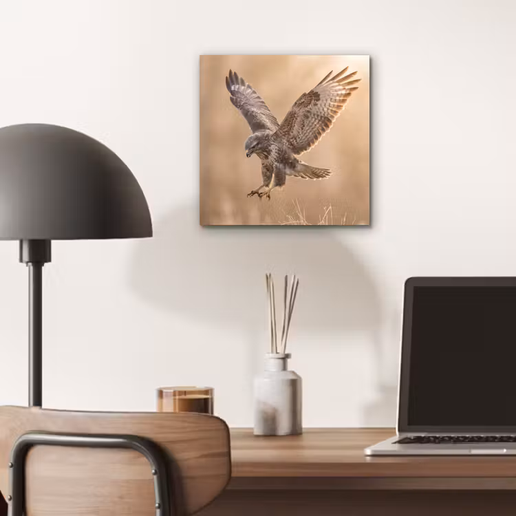 Buizerd - Roofvogel - Natuur - Bruin aluminium wit klein -sfeer5
