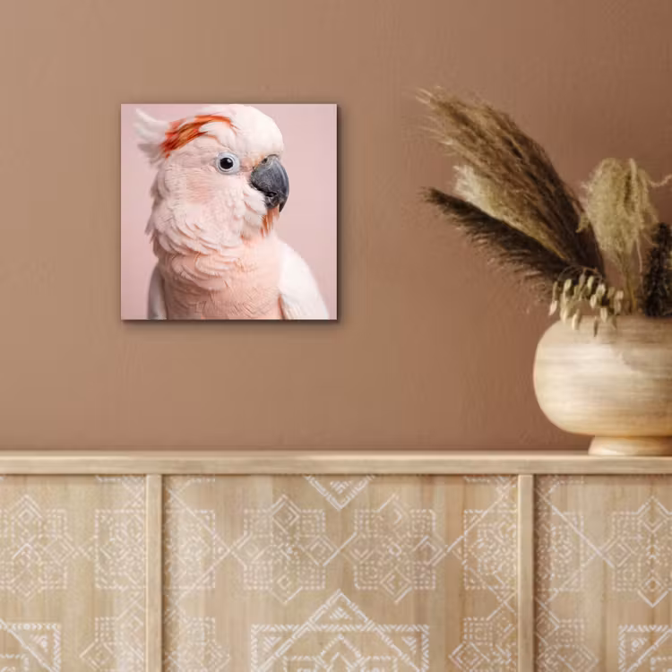 Kaketoe - Portret - Roze aluminium wit klein -sfeer4