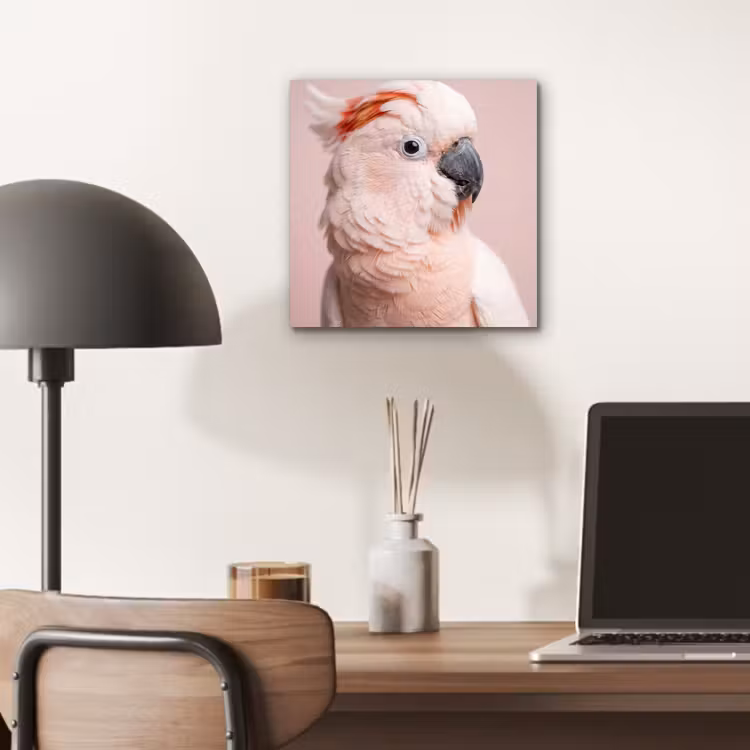 Kaketoe - Portret - Roze aluminium wit klein -sfeer5