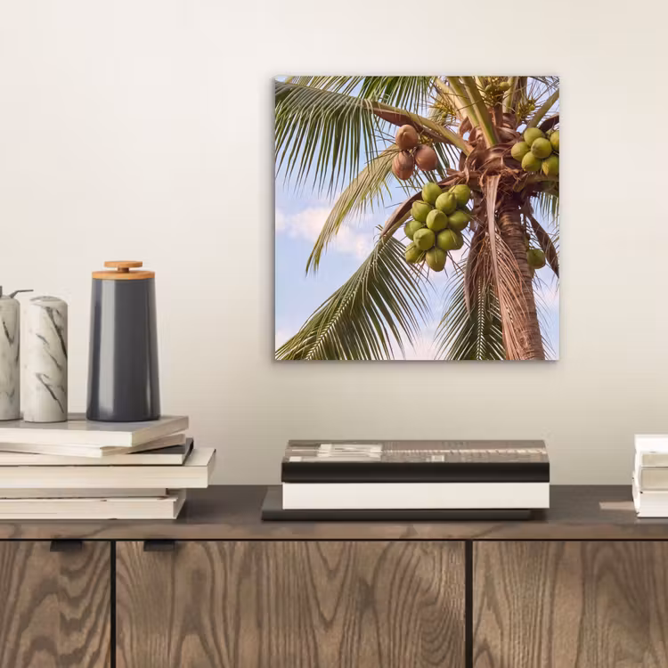 Kokosnoot - Boom - Tropisch - Natuur - Groen aluminium wit klein -sfeer1