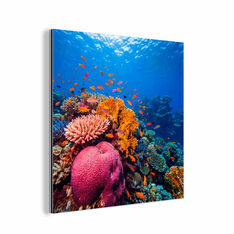 Koraal - Vissen - Oceaan - Natuur - Kleurrijk aluminium wit klein -3d