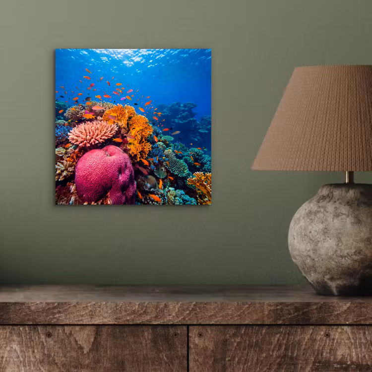 Koraal - Vissen - Oceaan - Natuur - Kleurrijk aluminium wit klein -sfeer2