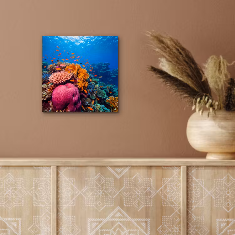 Koraal - Vissen - Oceaan - Natuur - Kleurrijk aluminium wit klein -sfeer4