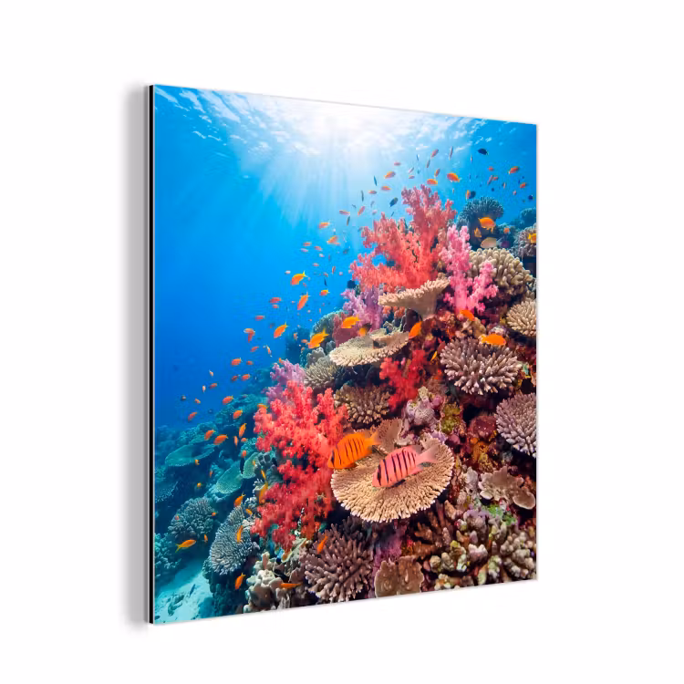 Koraalrif - Vissen - Onderwater - Tropisch - Rood aluminium wit klein -3d