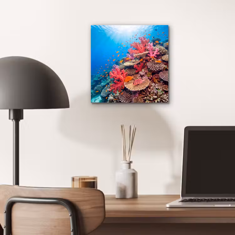 Koraalrif - Vissen - Onderwater - Tropisch - Rood aluminium wit klein -sfeer5