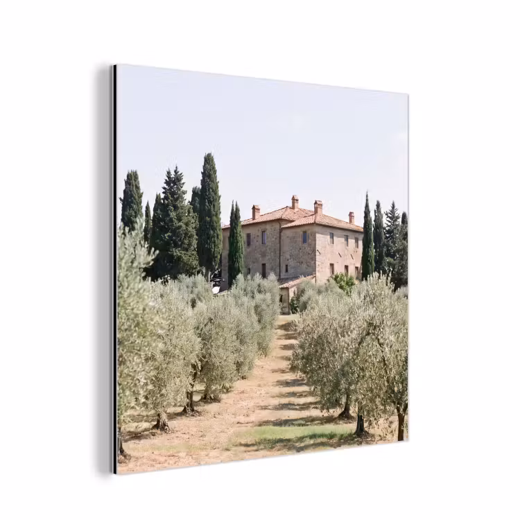 aluminium wall art - Country house - olive tree - orchard - Landhuis - olijfboom - gaard aluminium wit klein