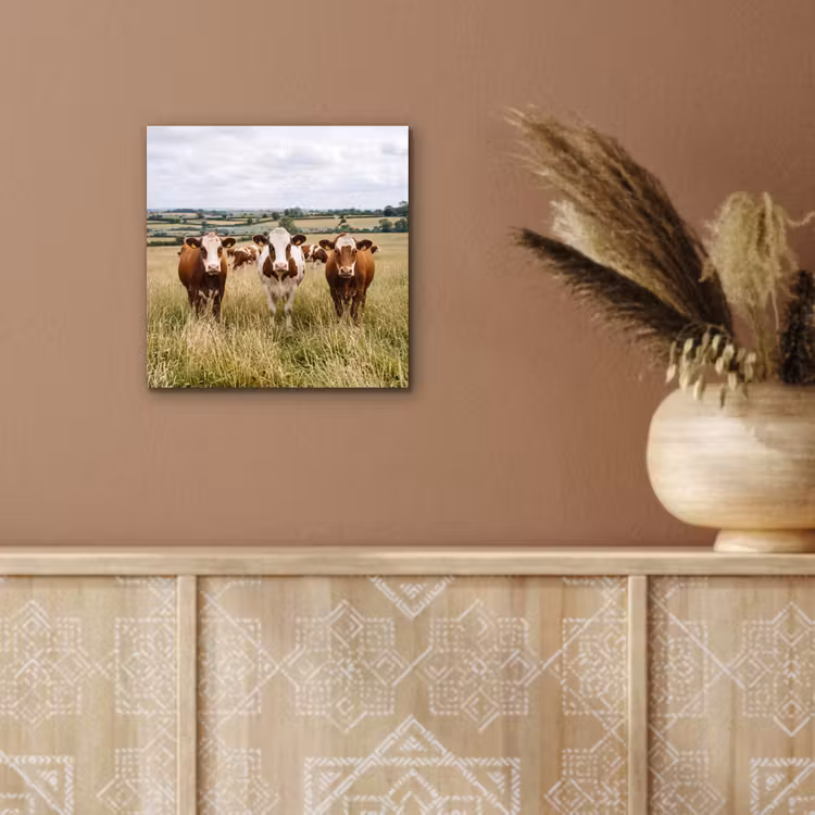 Koeien - Portret - Weide - Boerderij - Nieuwsgierig aluminium wit klein -sfeer4