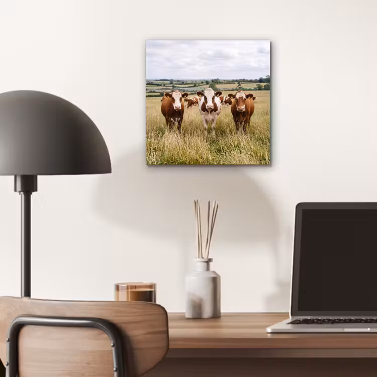 Koeien - Portret - Weide - Boerderij - Nieuwsgierig aluminium wit klein -sfeer5