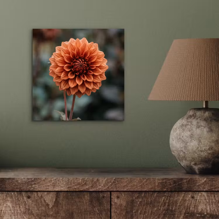 Dahlia - Bloem - Natuur - Sfeervol aluminium wit klein -sfeer2