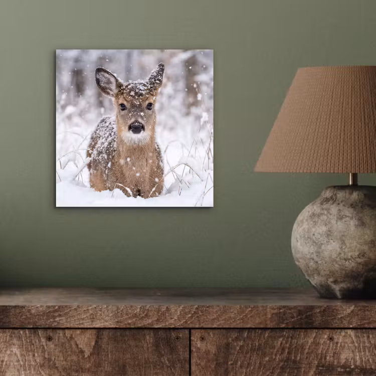 Hert - Sneeuw - Bos - Dieren - Vertederend aluminium wit klein -sfeer2