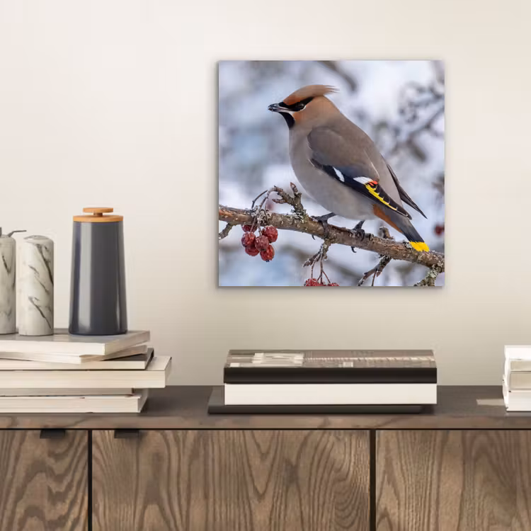 Pestvogel - Bessen - Winter - Natuur aluminium wit klein -sfeer1