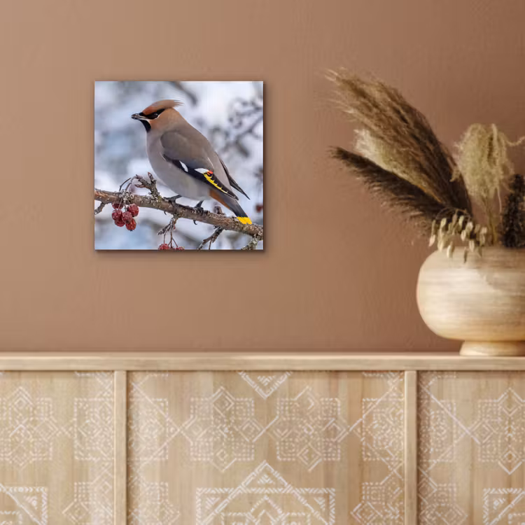 Pestvogel - Bessen - Winter - Natuur aluminium wit klein -sfeer4