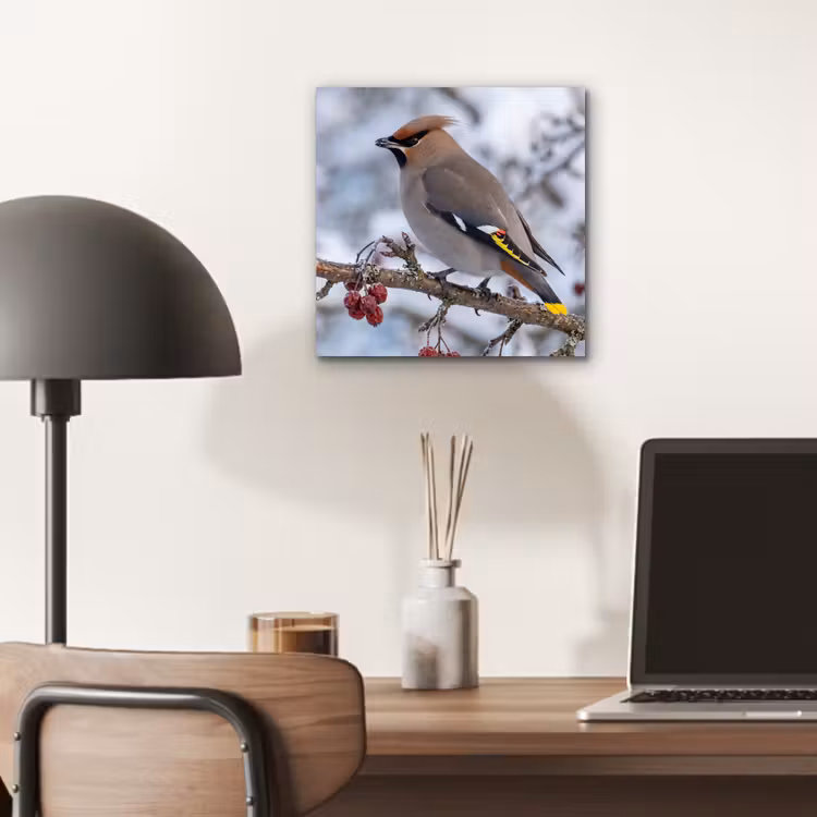 Pestvogel - Bessen - Winter - Natuur aluminium wit klein -sfeer5