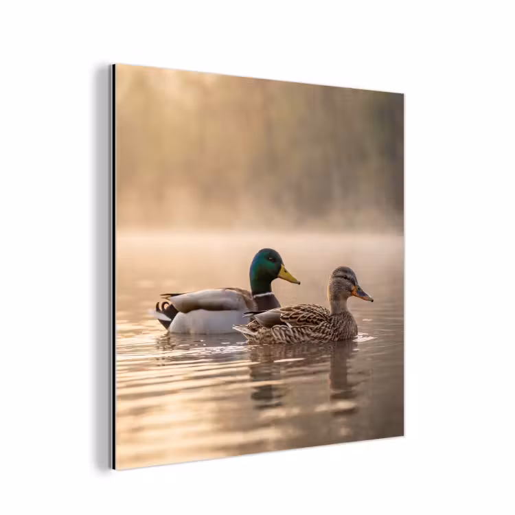 Eenden - Water - Mist - Natuur aluminium wit klein -3d