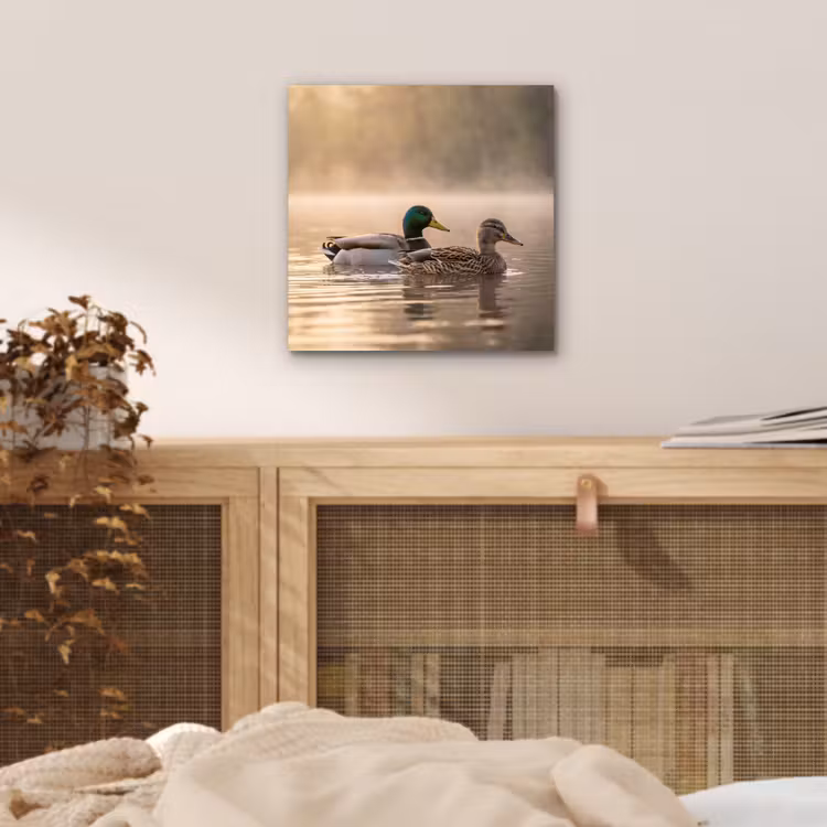 Eenden - Water - Mist - Natuur aluminium wit klein -sfeer3