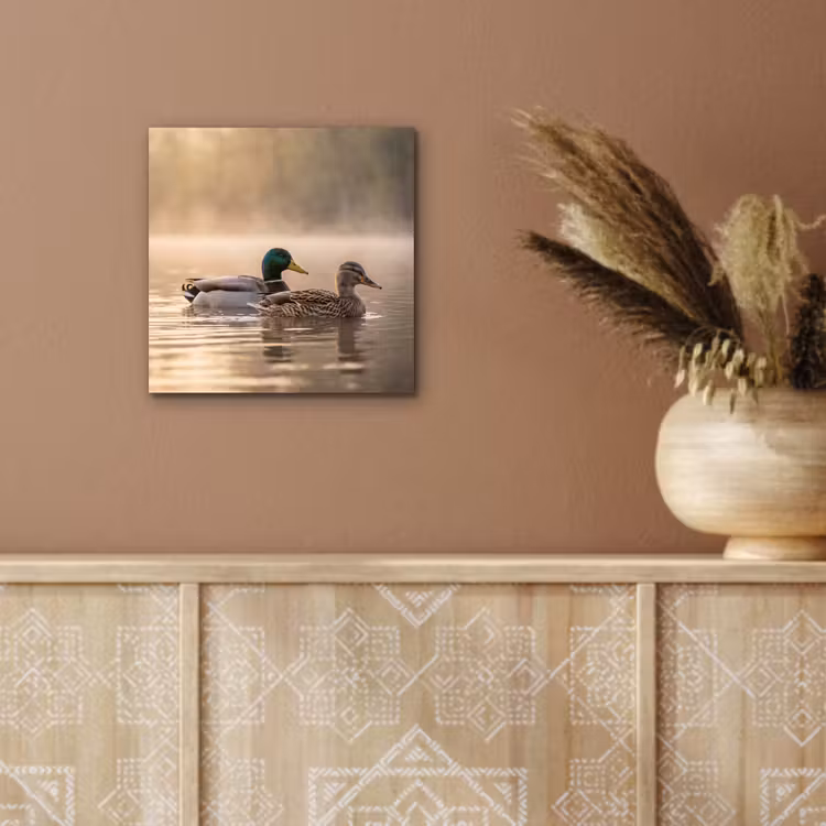 Eenden - Water - Mist - Natuur aluminium wit klein -sfeer4