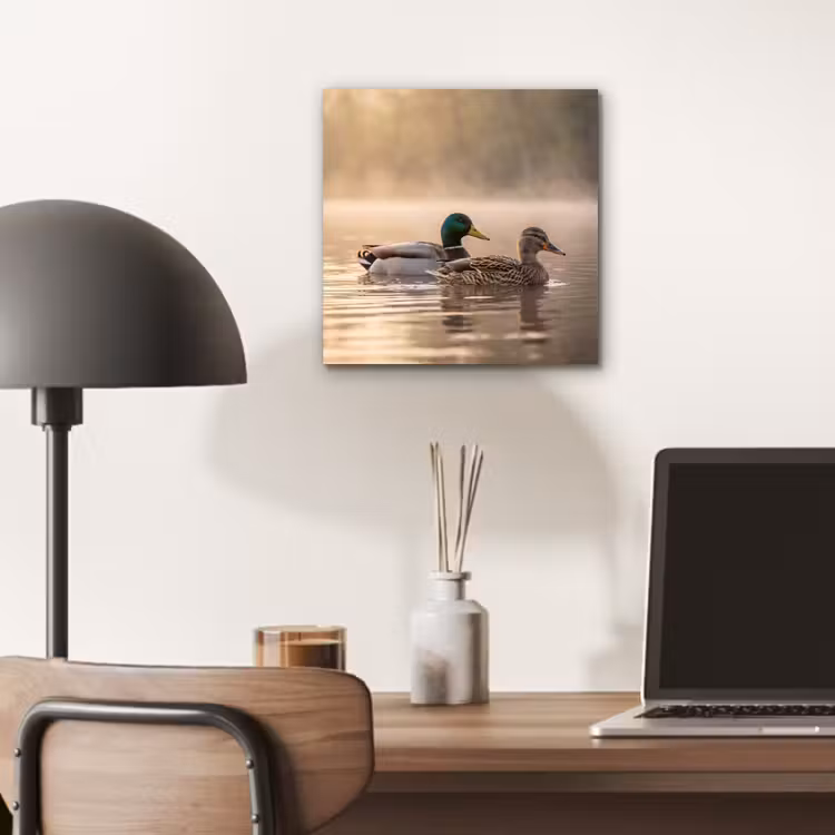 Eenden - Water - Mist - Natuur aluminium wit klein -sfeer5