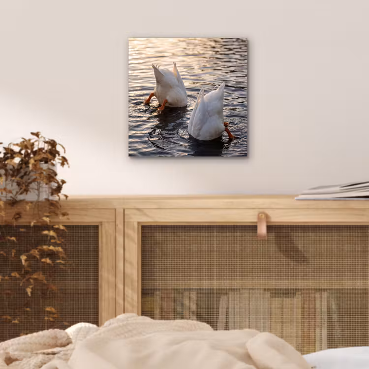 Eenden - Water - Natuur aluminium wit klein -sfeer3
