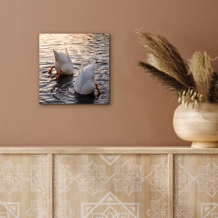 Eenden - Water - Natuur aluminium wit klein -sfeer4