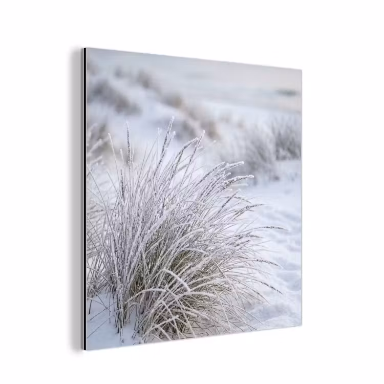 Duinen - Sneeuw - Strand - Winter - Serene aluminium wit klein -3d