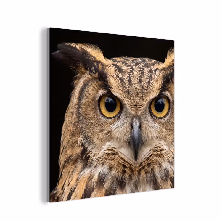 Oehoe - Uil - Portret - Bruin aluminium wit klein -3d