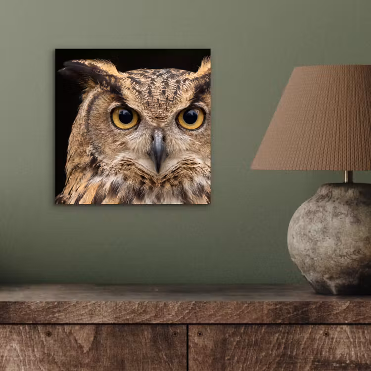 Oehoe - Uil - Portret - Bruin aluminium wit klein -sfeer2
