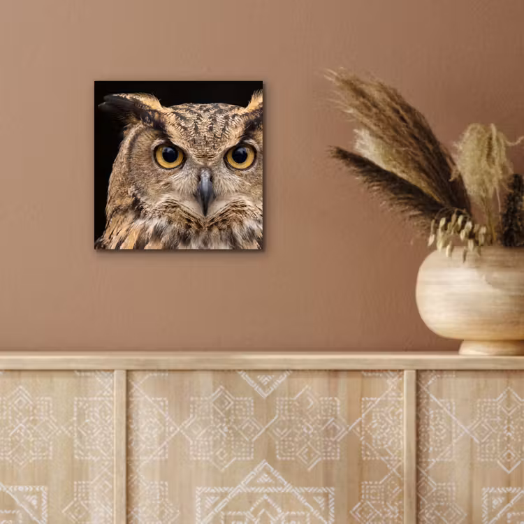 Oehoe - Uil - Portret - Bruin aluminium wit klein -sfeer4