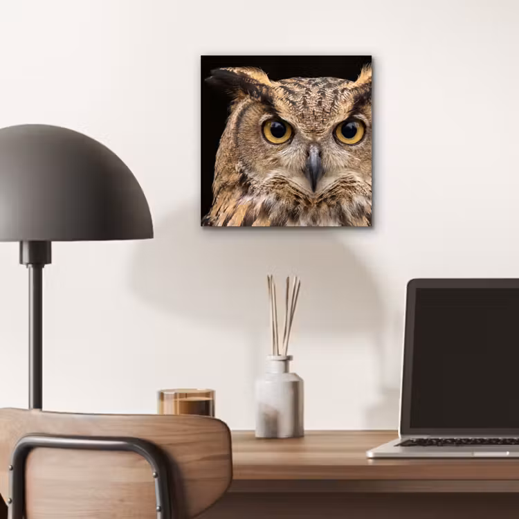 Oehoe - Uil - Portret - Bruin aluminium wit klein -sfeer5