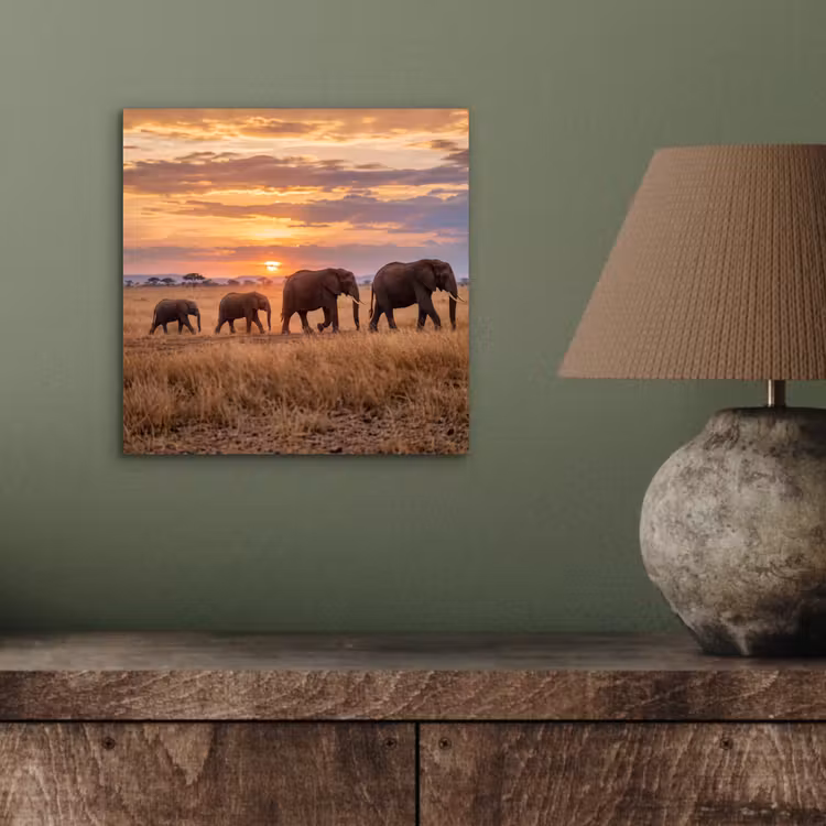 Olifanten - Savanne - Zonsondergang - Afrika - Warm aluminium wit klein -sfeer2