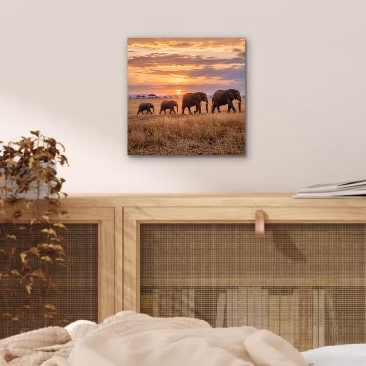 Olifanten - Savanne - Zonsondergang - Afrika - Warm aluminium wit klein -sfeer3
