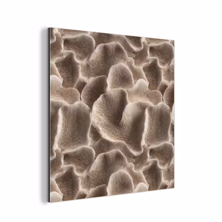 Waaiervorm - Beige - Vezel textuur aluminium wit klein 46 -3d