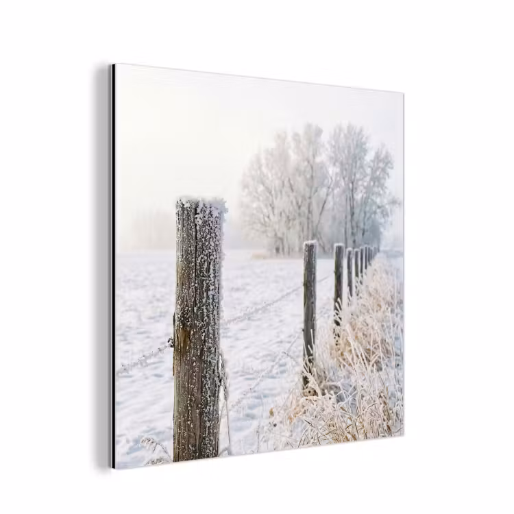 Hek - Sneeuw - Mist - Platteland - Nostalgisch aluminium wit klein -3d