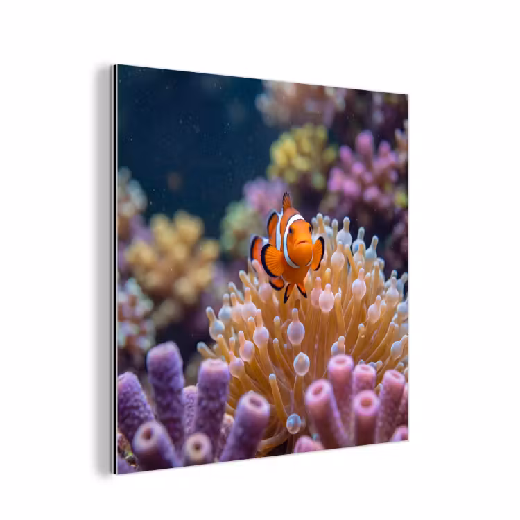 Vis - Koraal - Onderwater - Oranje - Dieren aluminium wit klein -3d