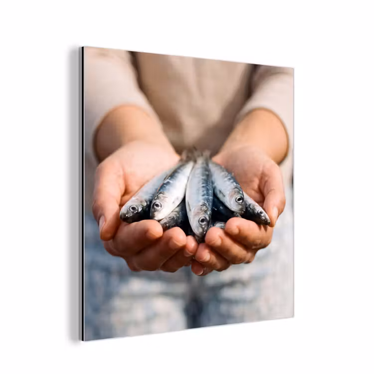 aluminium wall art - Fish - Hands - Nature - Vis - Handen - Natuur aluminium wit klein