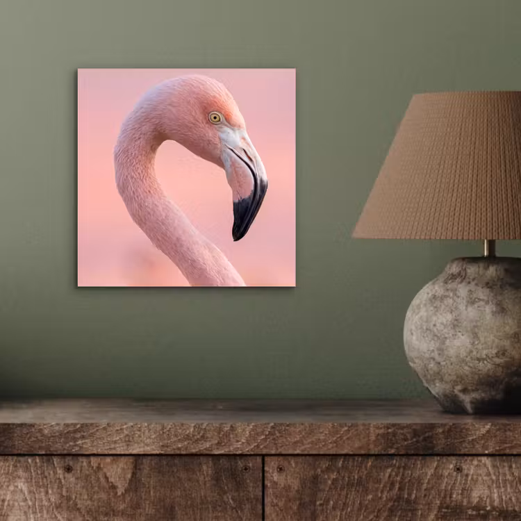 Flamingo - Portret - Roze aluminium wit klein -sfeer2