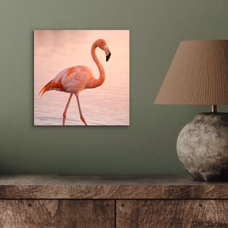 Flamingo - Water - Roze aluminium wit klein -sfeer2