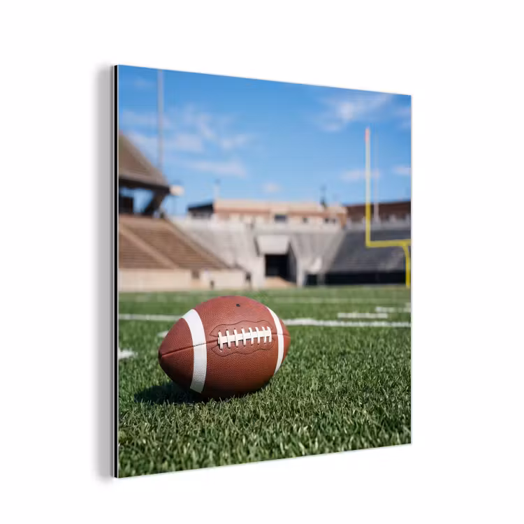 Football - Veld - Stadion - Sport aluminium wit klein -3d
