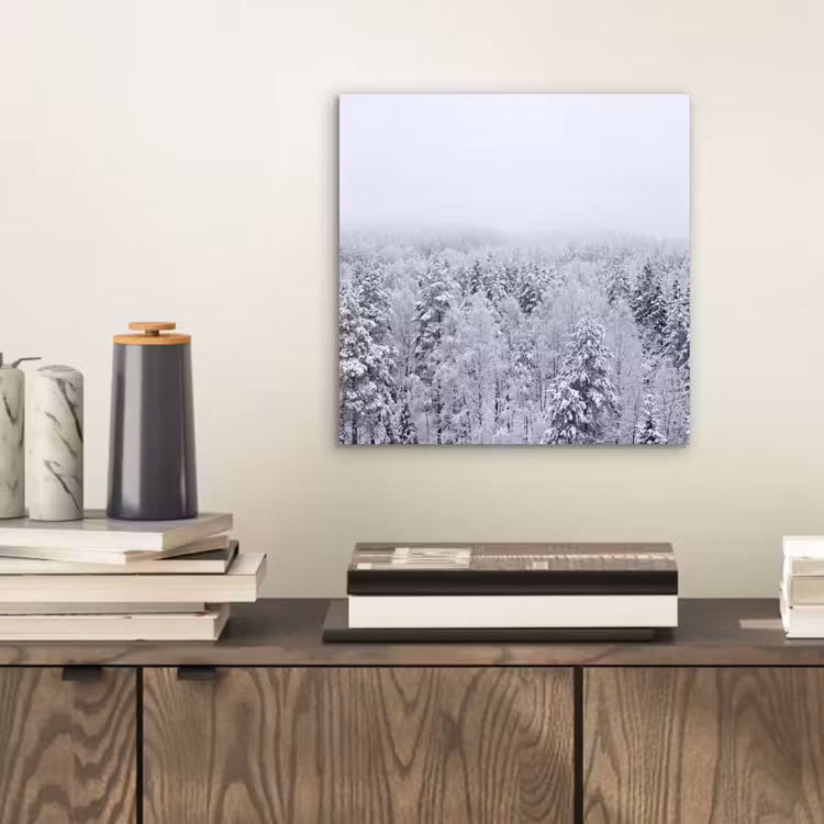 Bos - Sneeuw - Winter - Natuur - Wit aluminium wit klein -sfeer1