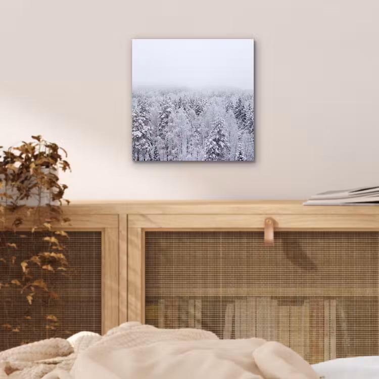 Bos - Sneeuw - Winter - Natuur - Wit aluminium wit klein -sfeer3