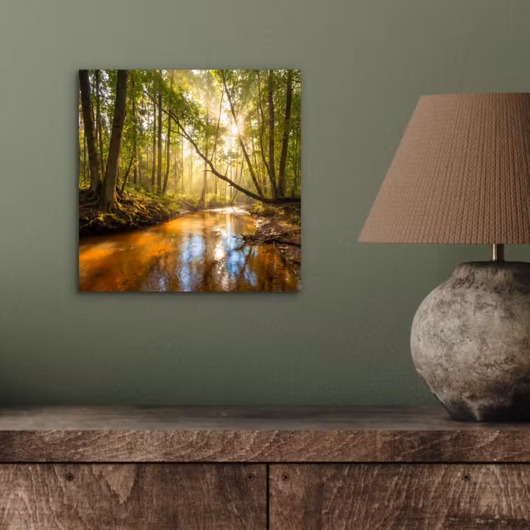 Bos - Beek - Zonlicht - Natuur - Groen aluminium wit klein -sfeer2