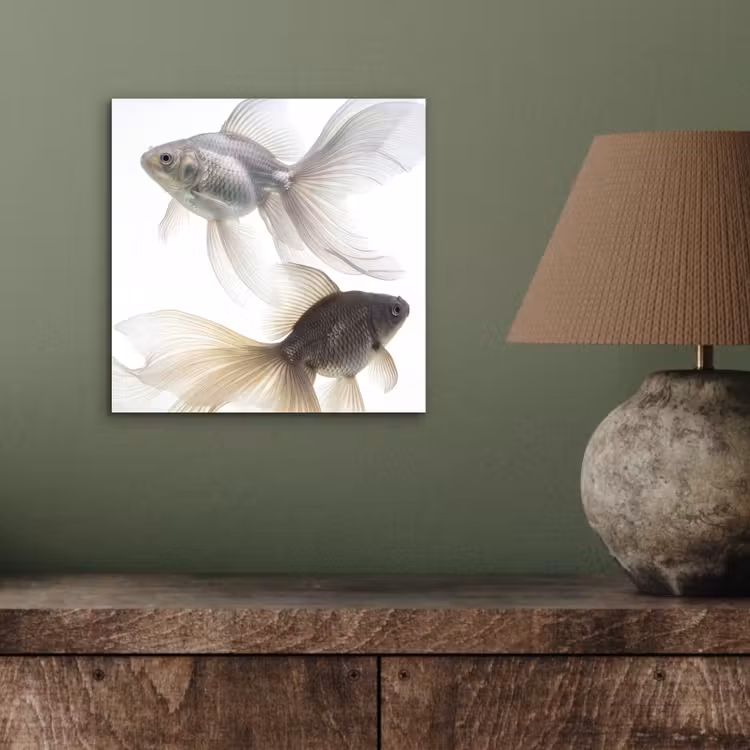 Goudvissen - Modern - Wit aluminium wit klein -sfeer2