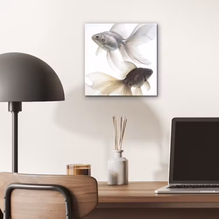 Goudvissen - Modern - Wit aluminium wit klein -sfeer5