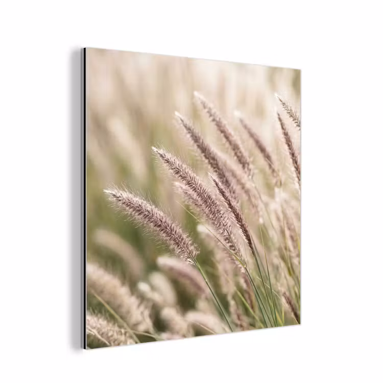 Gras - Close up - Groen aluminium wit klein -3d
