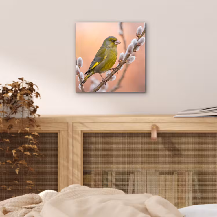 Groenling - Katjes - Lente - Natuur - Zacht aluminium wit klein -sfeer3