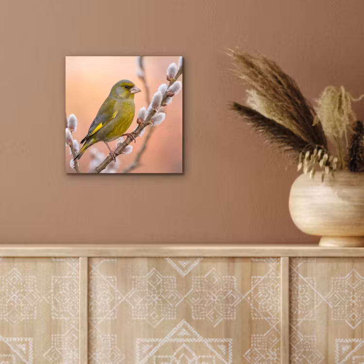 Groenling - Katjes - Lente - Natuur - Zacht aluminium wit klein -sfeer4