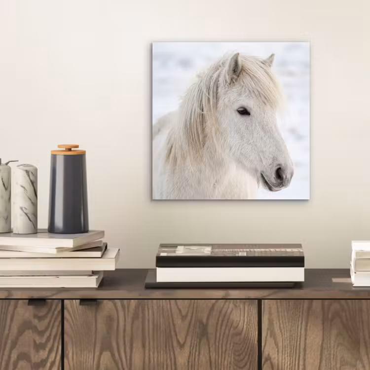 Paard - Kop - Winter - Dieren - Wit aluminium wit klein -sfeer1