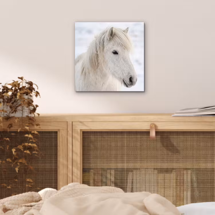 Paard - Kop - Winter - Dieren - Wit aluminium wit klein -sfeer3
